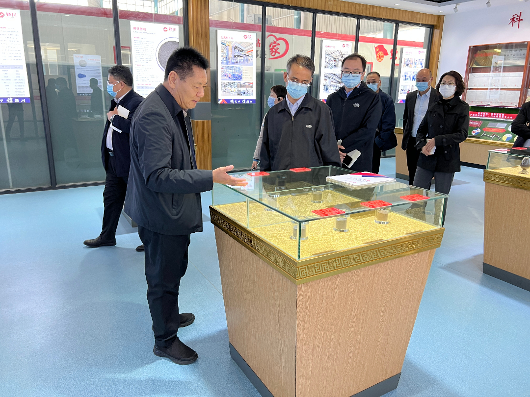 河南省省稳经济政策措施专项工作组李拴成一行莅临颍川新材料调研(图4)