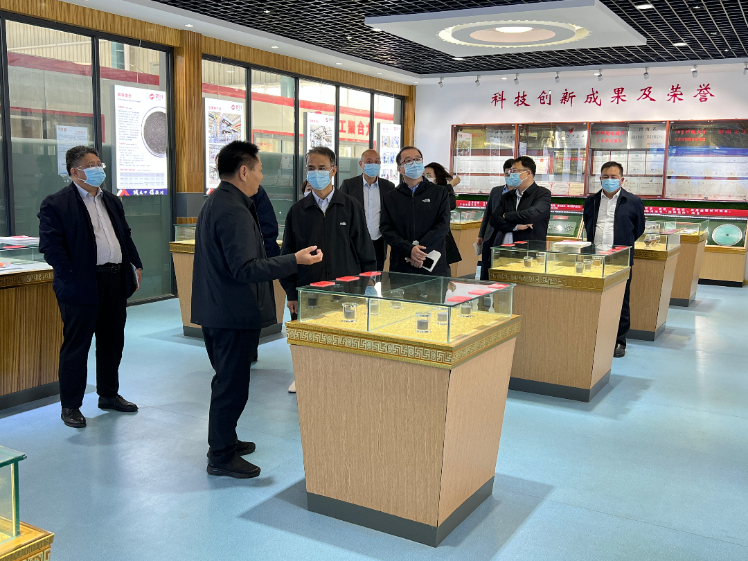 河南省省稳经济政策措施专项工作组李拴成一行莅临颍川新材料调研(图2)